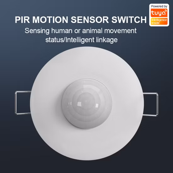 Interruttore micro luce intelligente elettrico automatico rotante regolabile con ritardo del sensore di movimento PIR per montaggio a parete
